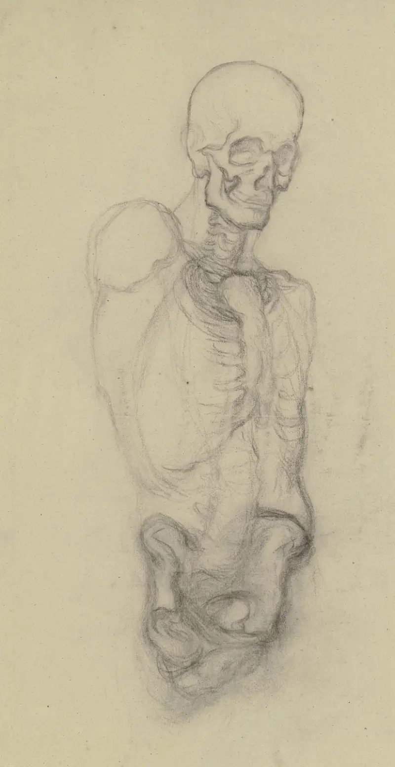 Skeletttorso mit Totenschädel av Victor Müller