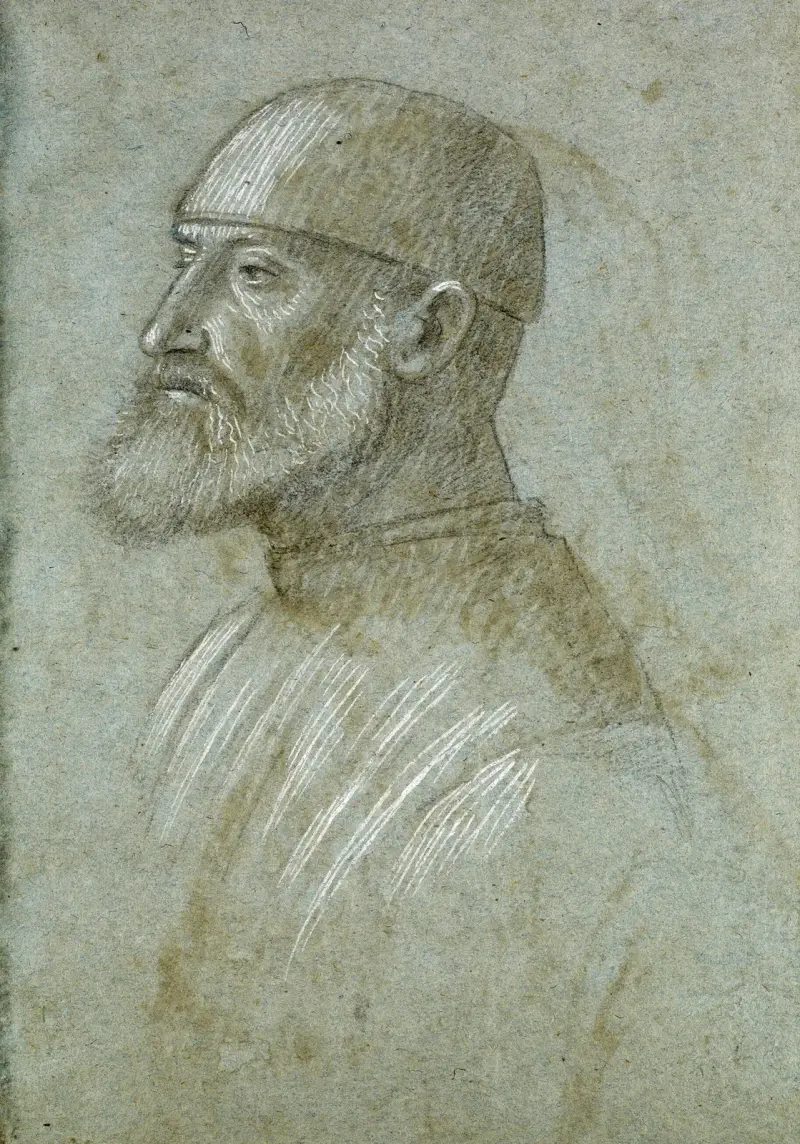 Head of Bearded Man Wearing a Cap, in Profile to the Left av Vittore Carpaccio