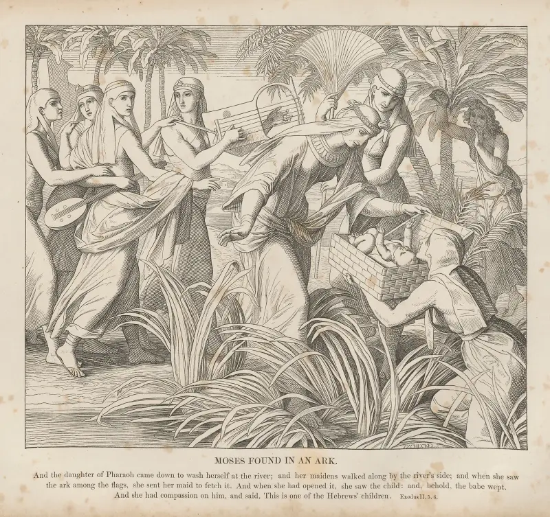Moses hittas i en ark av Julius Schnorr von Carolsfeld