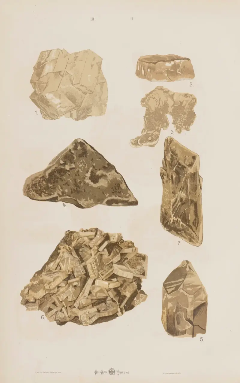 Wielki atlas do zoologii, botaniki i mineralogii Pl.114 av Gustav von Hayek