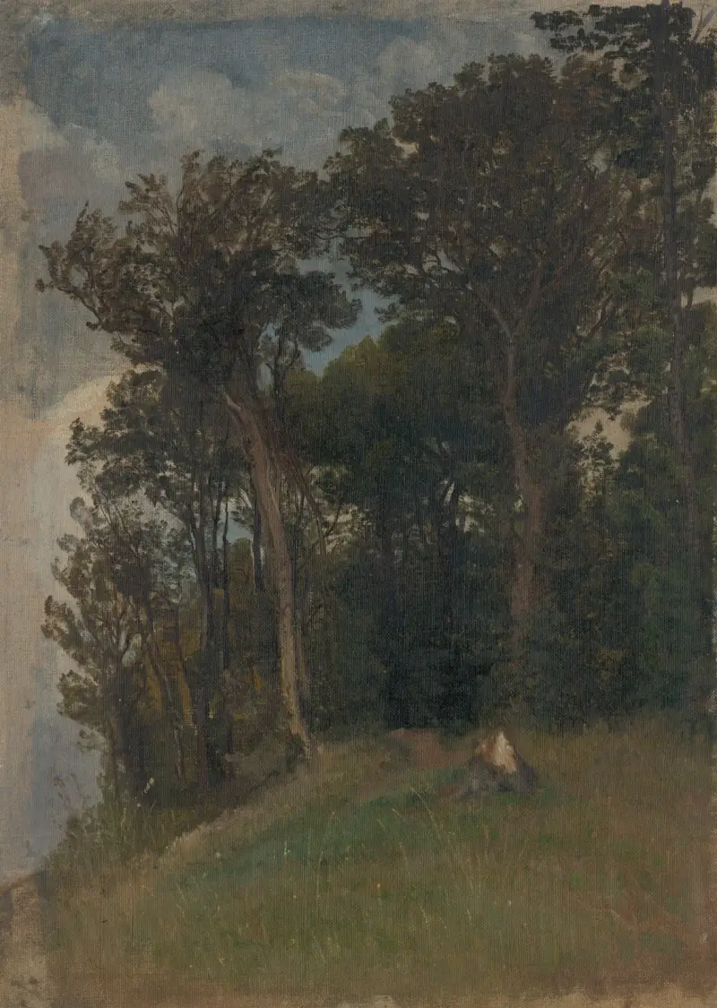 At the Edge of a Forest av Friedrich Carl von Scheidlin
