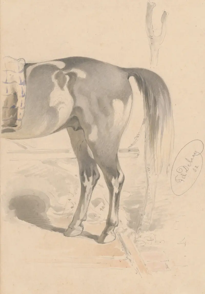 Detaljstudie av en hästrygg av Friedrich Carl von Scheidlin