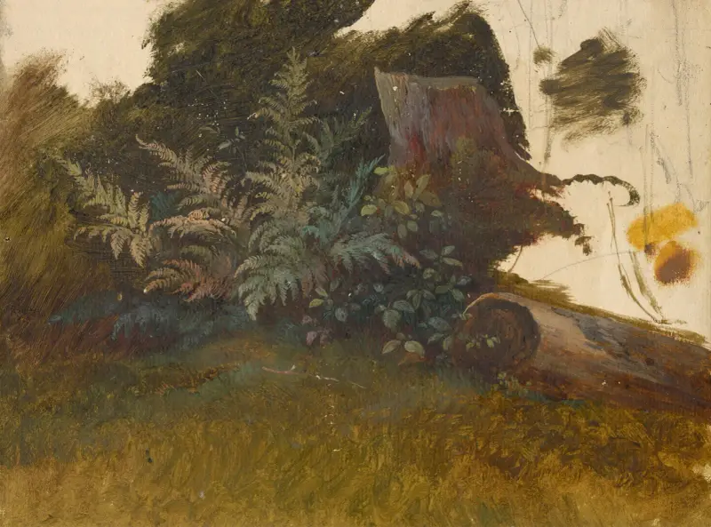 Horská vegetace, Friedrich Carl von Scheidlin