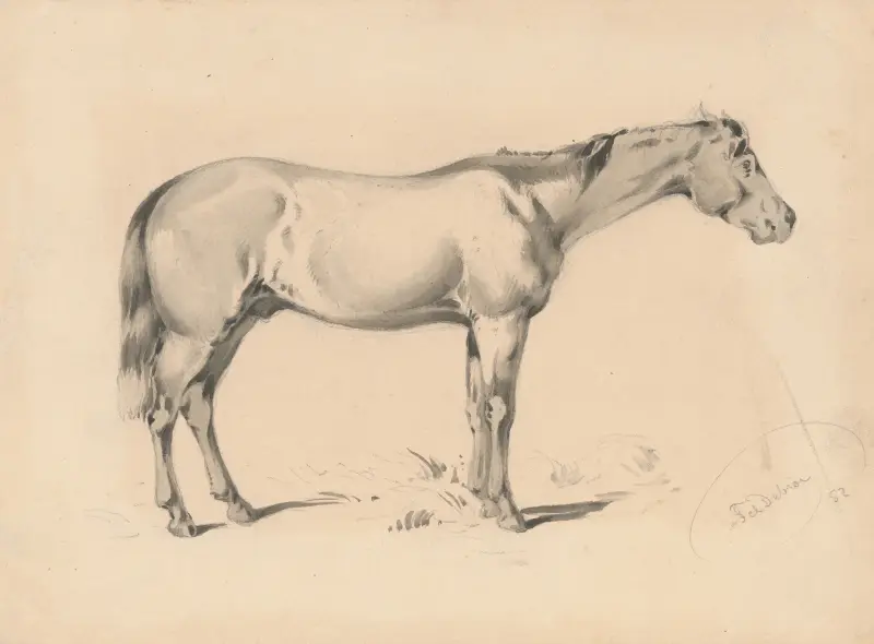Studie av en häst I. av Friedrich Carl von Scheidlin