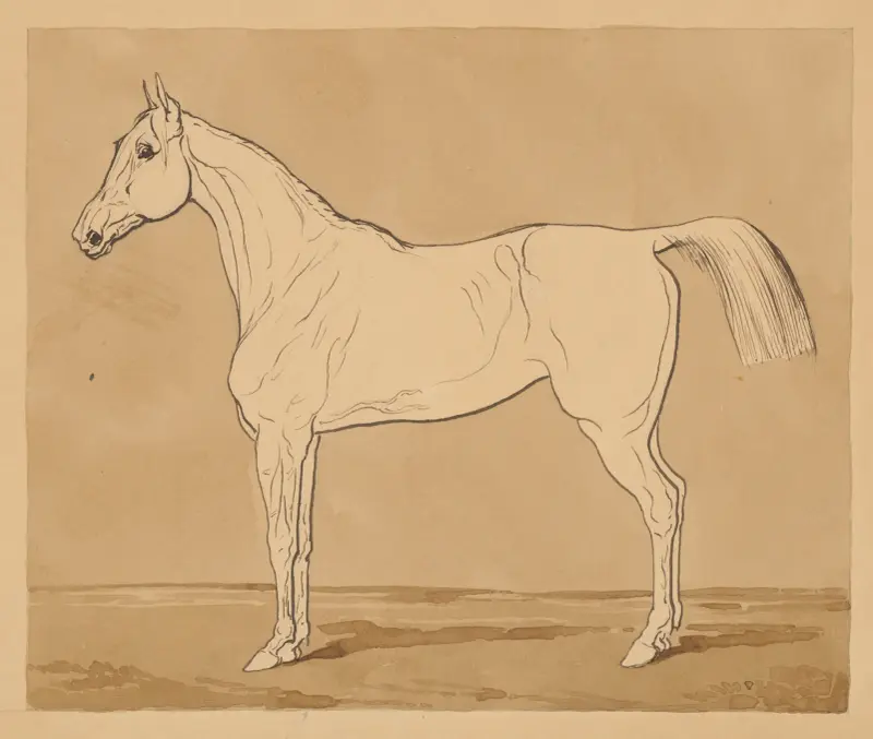 Study of a Horse II. av Friedrich Carl von Scheidlin