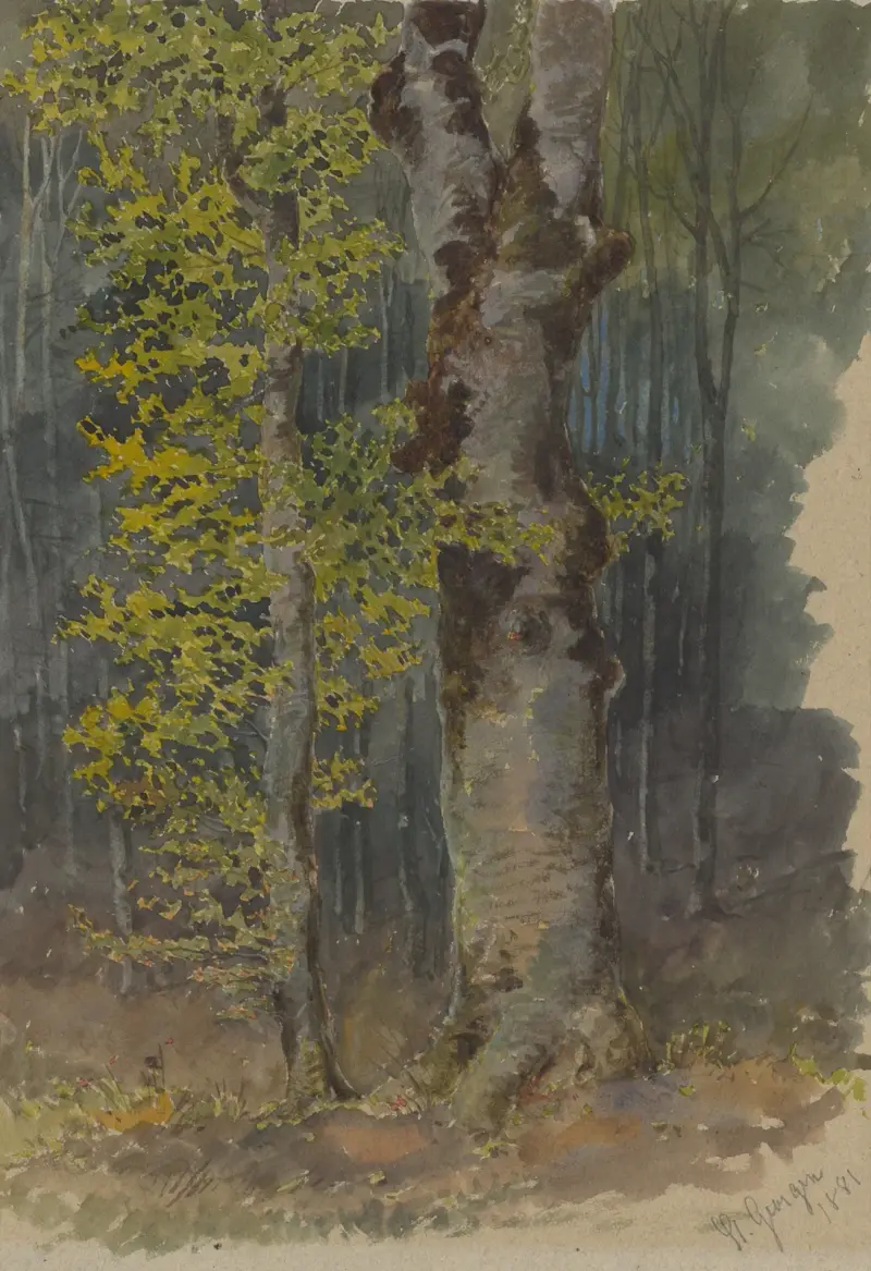 Studie av en trädgren som förgrenar sig av Friedrich Carl von Scheidlin