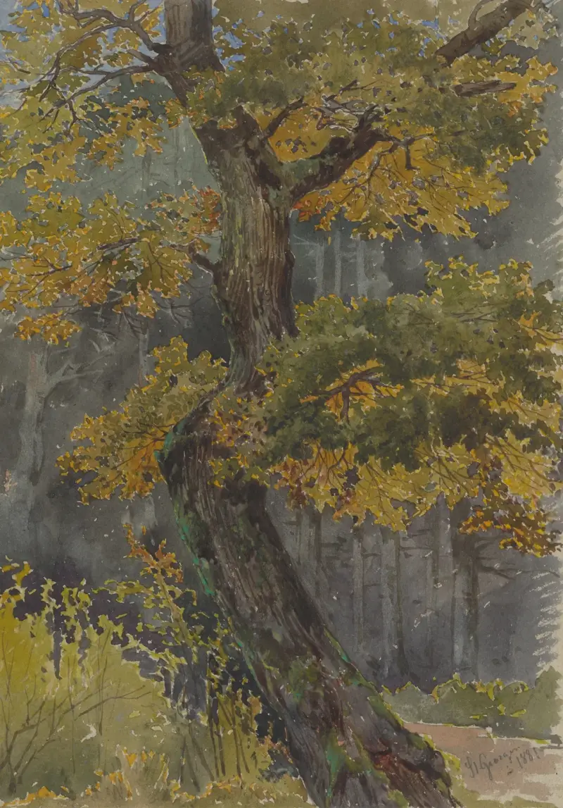 Studie av lövträd. Motiv från Svätý Jur av Friedrich Carl von Scheidlin