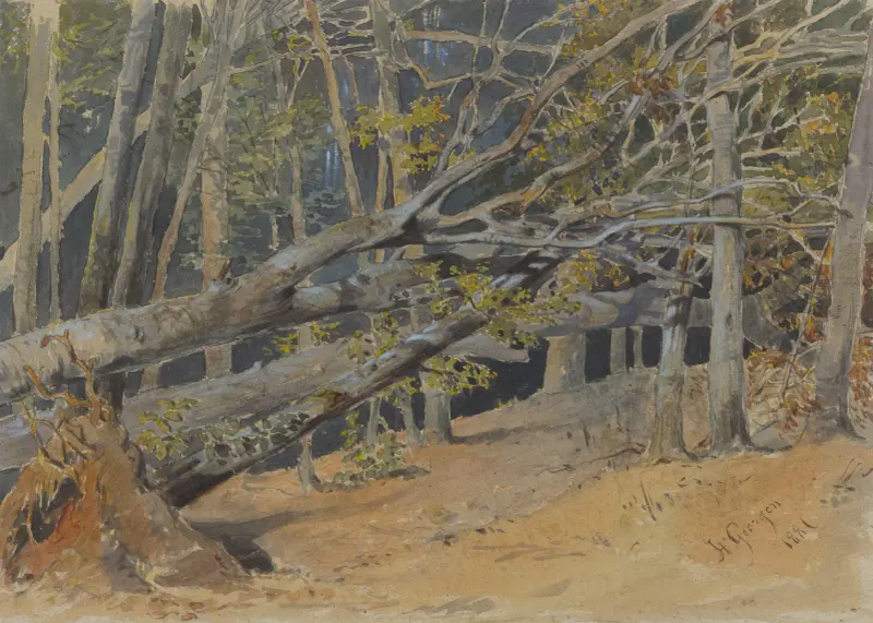 Studie pokácených stromů, Friedrich Carl von Scheidlin