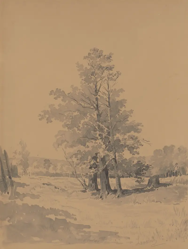 Träd vid skogsbrynet av Friedrich Carl von Scheidlin