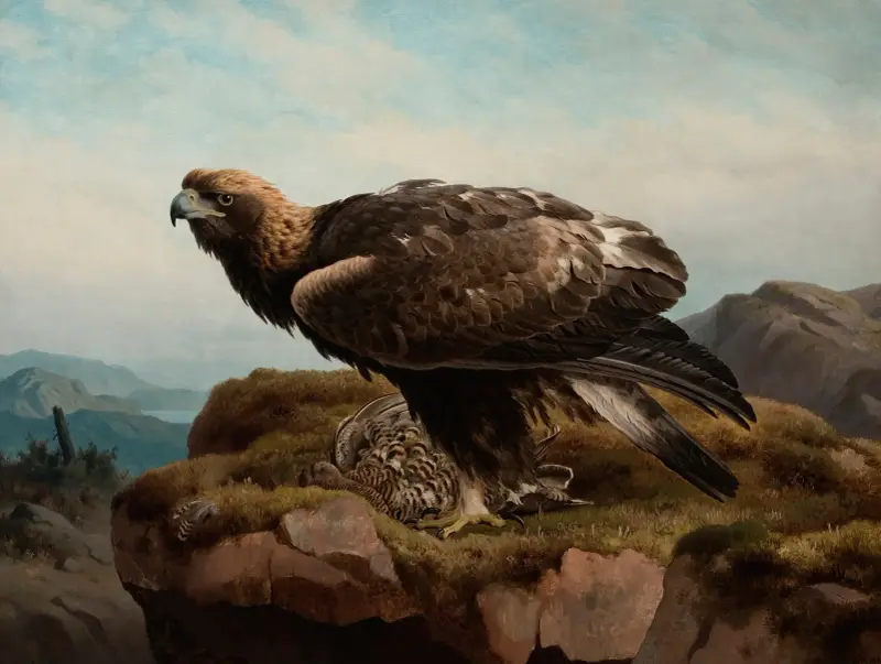Steinadler an einer Klippenkante von Ferdinand von Wright
