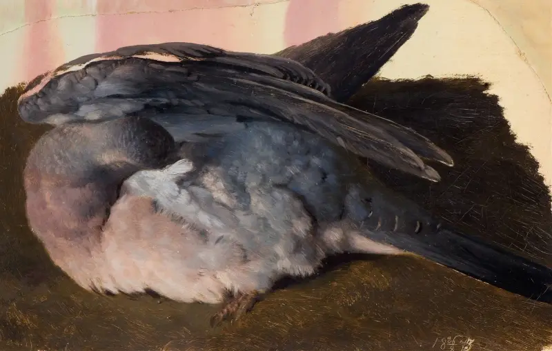 Study of the sleeping wood pigeon av Ferdinand von Wright