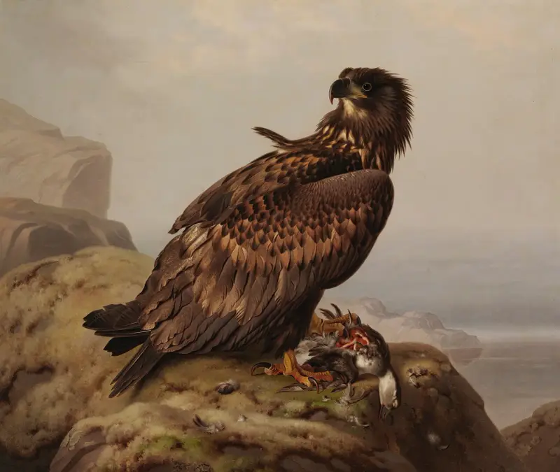 Mořský orel s kořistí, Ferdinand von Wright