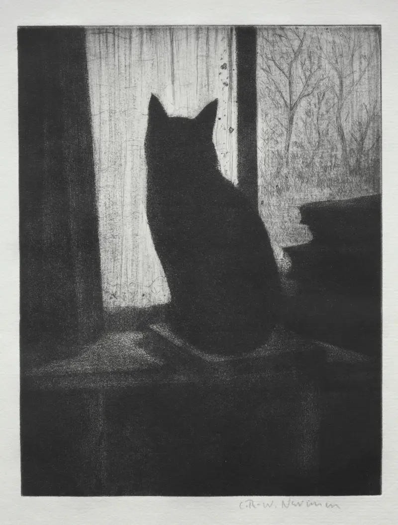 Kočka, Christopher R. W. Nevinson