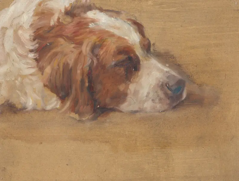 Hundekopf (Studie) von Walther Gamerith