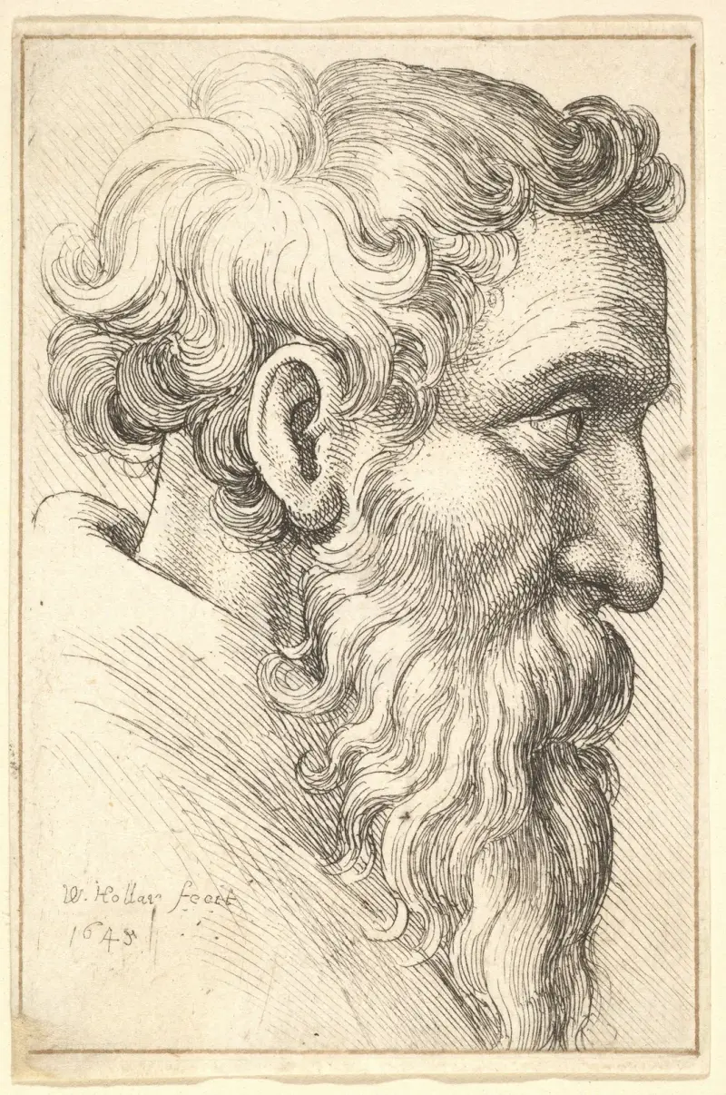 Bärtiger alter Mann im Profil nach rechts von Wenceslaus Hollar