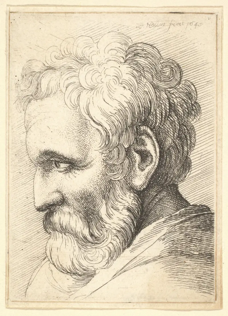 Skäggig gammal man av Wenceslaus Hollar