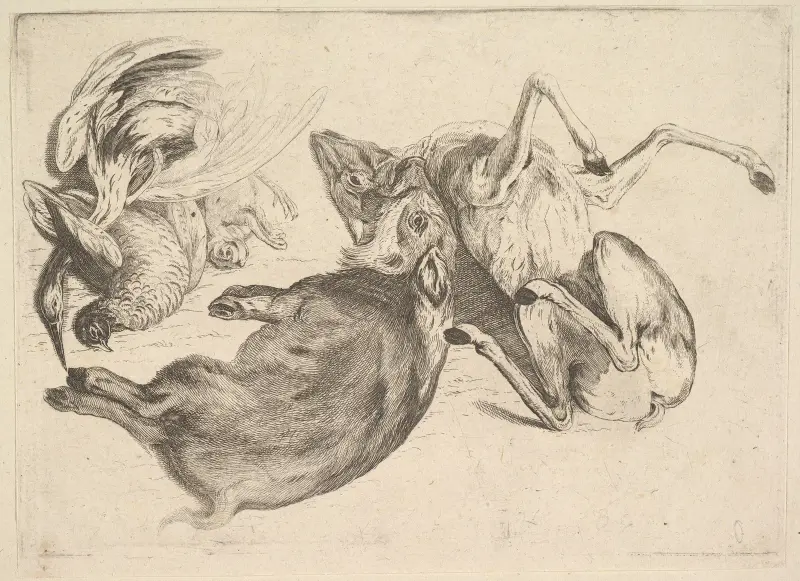 Dzik, jeleń, czapla i inna zwierzyna, Wenceslaus Hollar