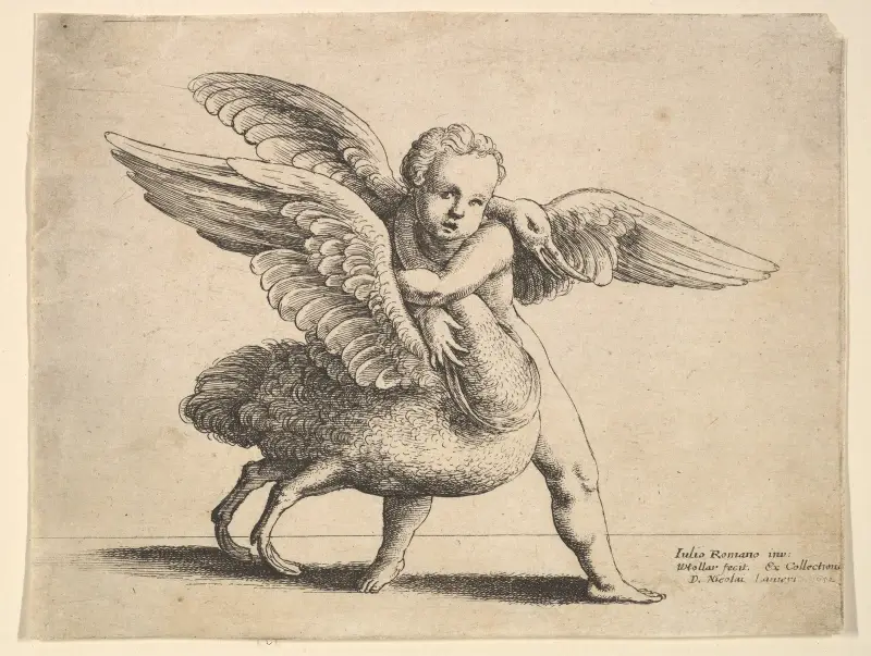 Amor und der Schwan von Wenceslaus Hollar