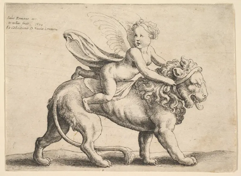 Amor auf einem Löwen von Wenceslaus Hollar
