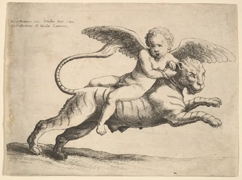 Amor auf einem Tiger von Wenceslaus Hollar