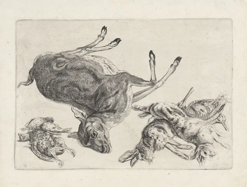 Dead deer lying on its right side, two dead hares and two snipes at right, three dead birds at left av Wenceslaus Hollar