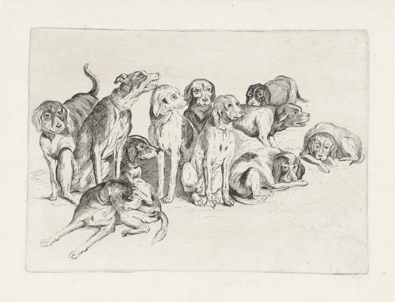 Elf Jagdhunde von Wenceslaus Hollar