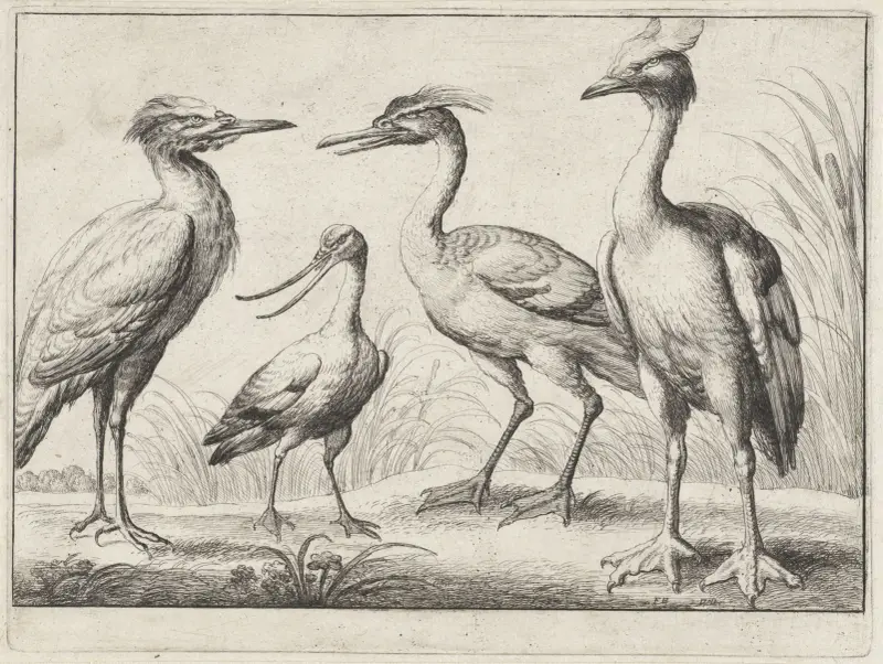 Vier Watvögel am Flussufer von Wenceslaus Hollar