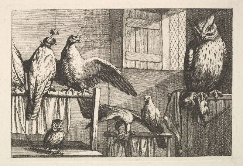 Habichte und Eulen von Wenceslaus Hollar