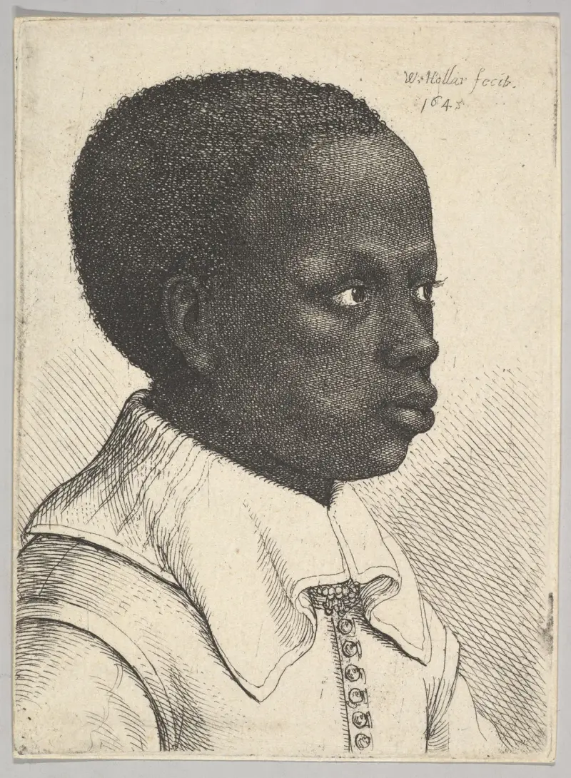Głowa młodego czarnoskórego chłopca w profilu zwrócona w prawo, Wenceslaus Hollar