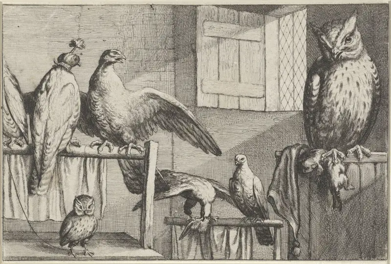 In einem Raum mit Ziegelwand und offenem Fenster, mehrere gefangene Vögel ruhen auf Holzstangen von Wenceslaus Hollar