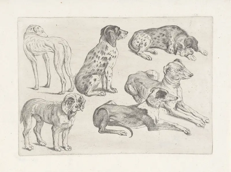 Sex jakthundar av Wenceslaus Hollar