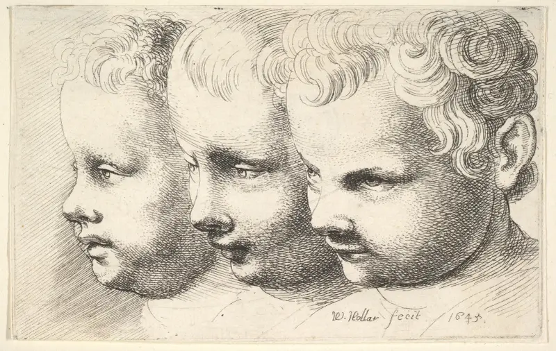 Trzy głowy dziecięce, Wenceslaus Hollar