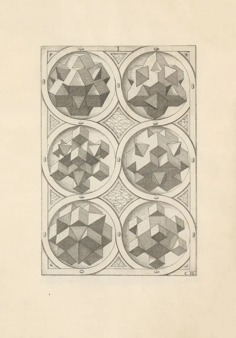 Perspectiva Corporum Regularium (Perspective of regular solids) Pl.14 av Wenzel Jamnitzer