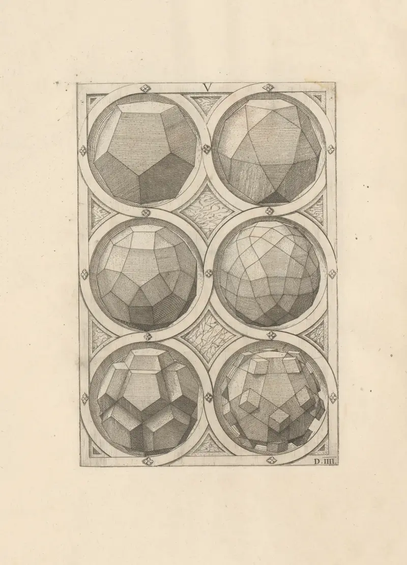 Perspectiva Corporum Regularium (Perspective of regular solids) Pl.17 av Wenzel Jamnitzer