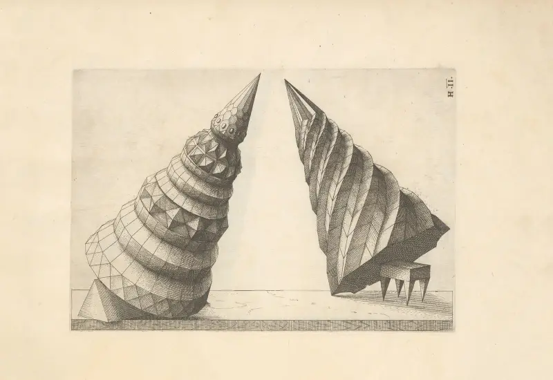 Perspectiva Corporum Regularium (Perspective of regular solids) Pl.38 av Wenzel Jamnitzer