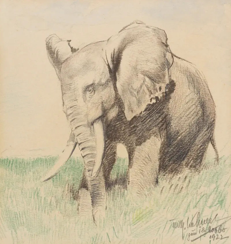 Afrikansk elefant i stäppen av Wilhelm Kuhnert