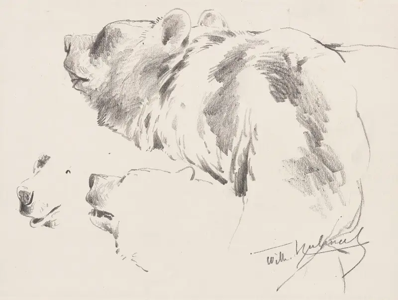Bären-Studien av Wilhelm Kuhnert
