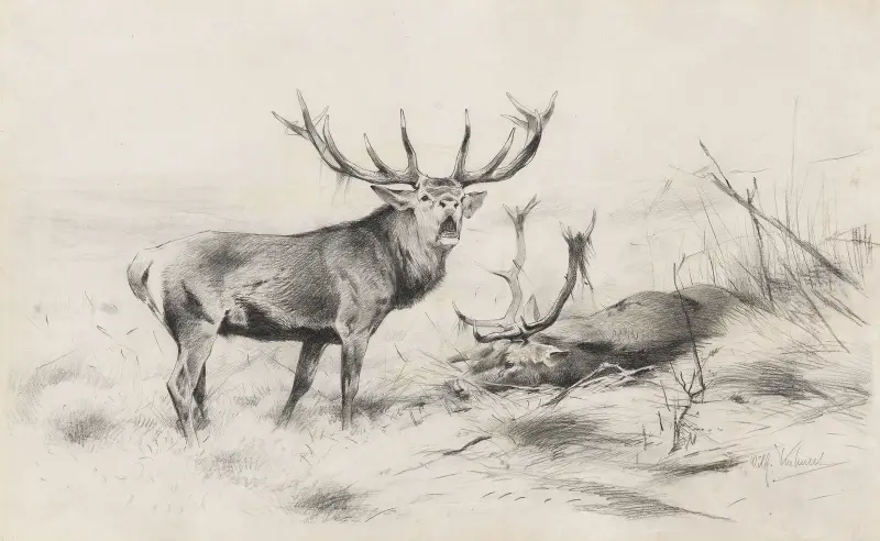 Besiegt (Rothirsche), 1920 – nr 2 av Wilhelm Kuhnert