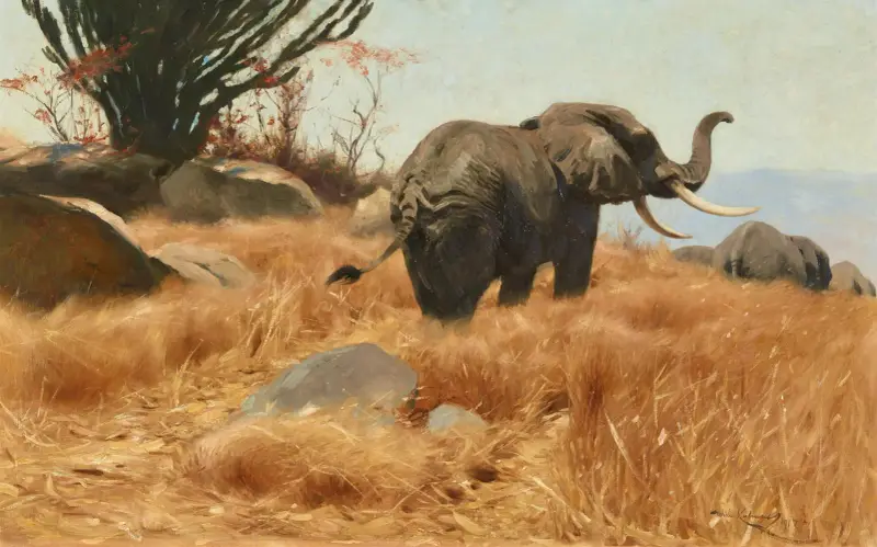 Elefant på savannen av Wilhelm Kuhnert