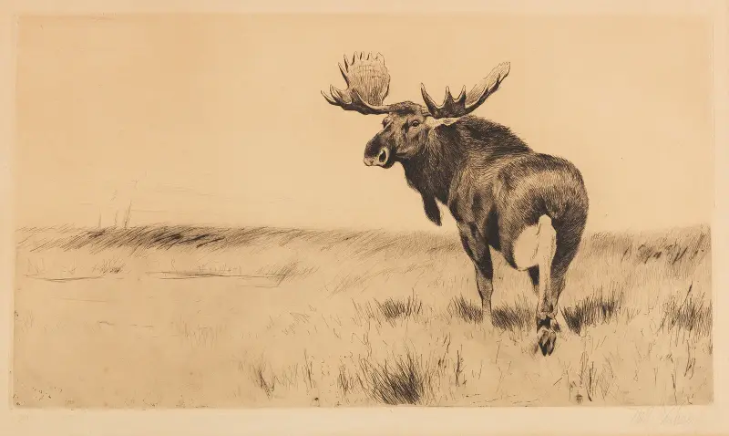 Los, Wilhelm Kuhnert