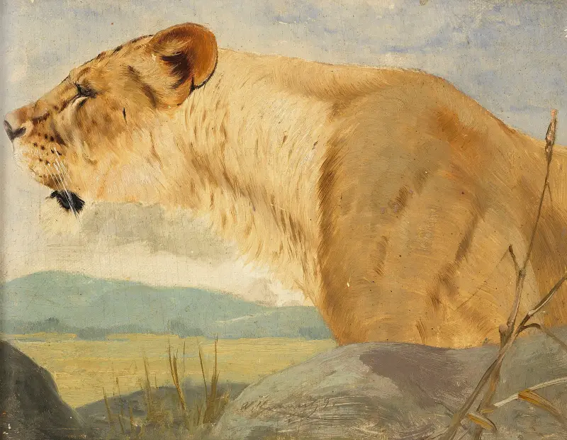 Lejonhona av Wilhelm Kuhnert