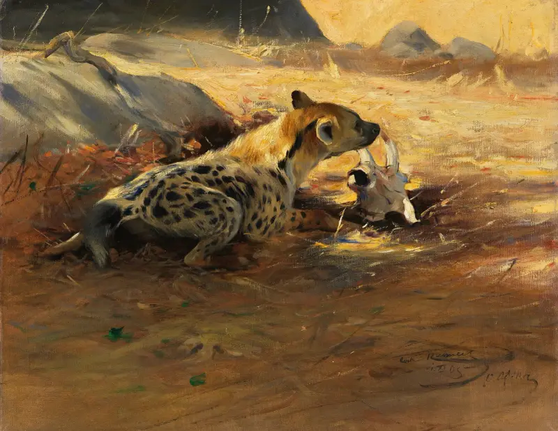 Hyena, Wilhelm Kuhnert