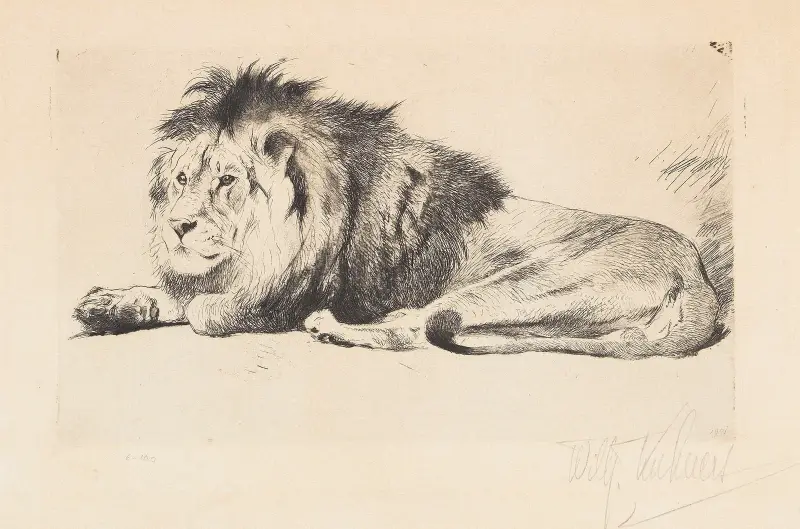 Löwe von Wilhelm Kuhnert