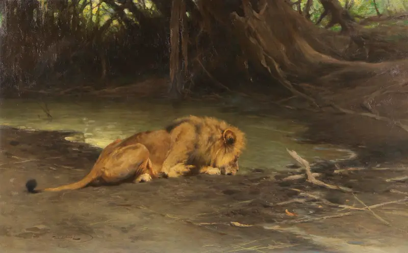 Löwe an der Tränke von Wilhelm Kuhnert