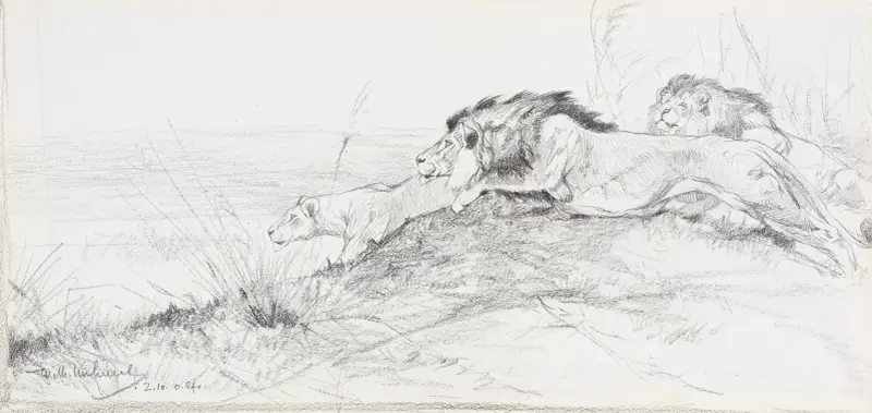 Löwen auf der Lauer von Wilhelm Kuhnert