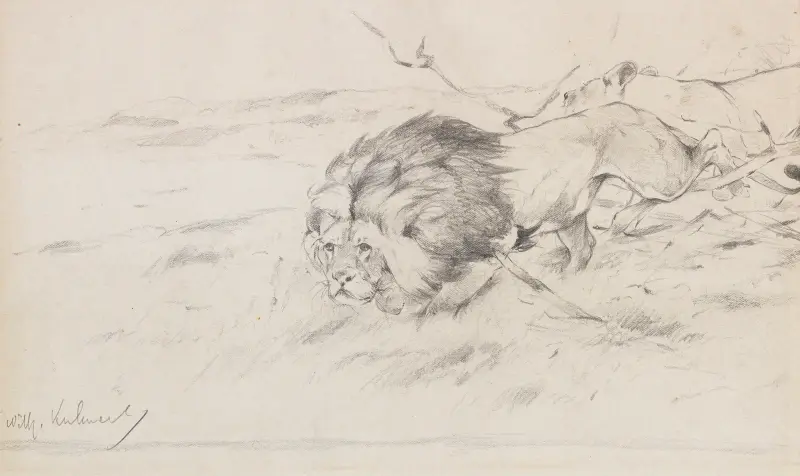 Löwenpaar auf der Pirsch von Wilhelm Kuhnert