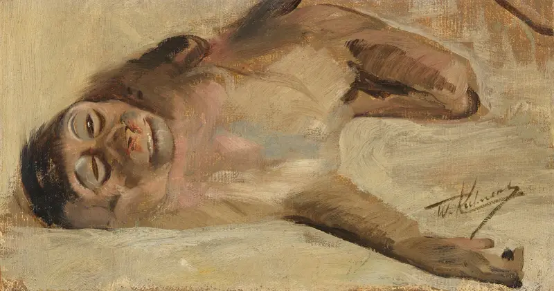 Vepří opice, Wilhelm Kuhnert