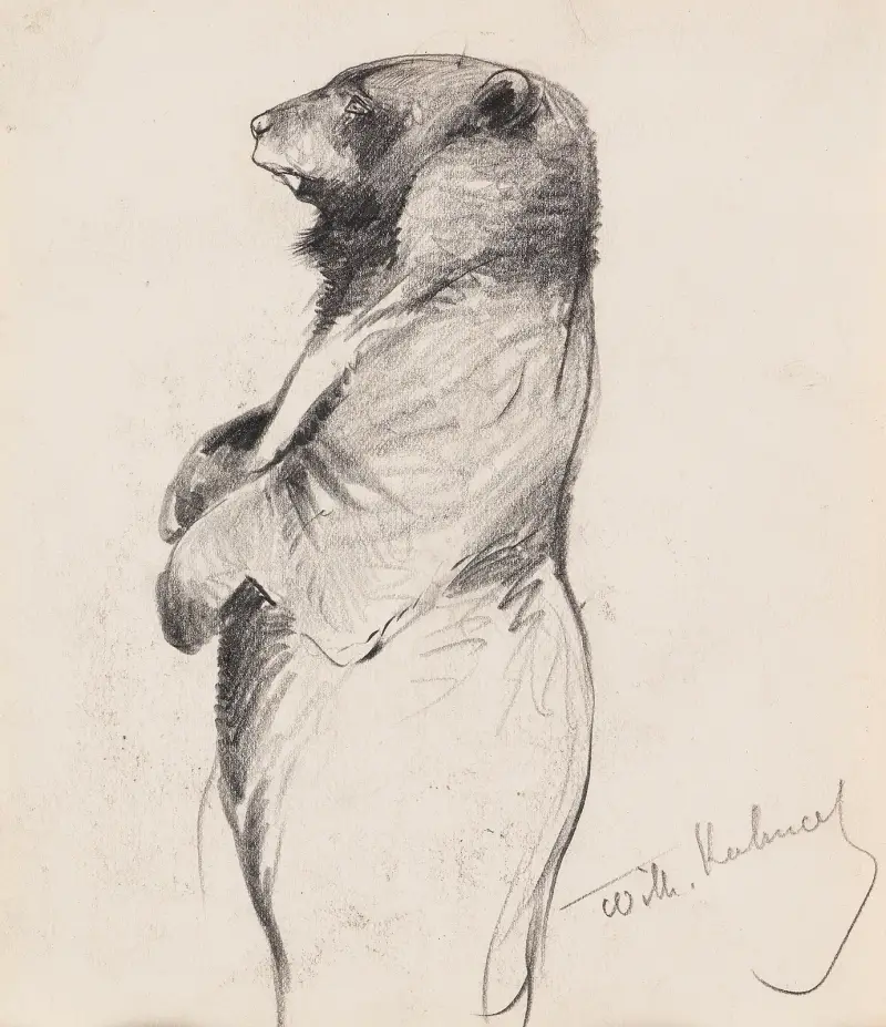 Stående björn av Wilhelm Kuhnert