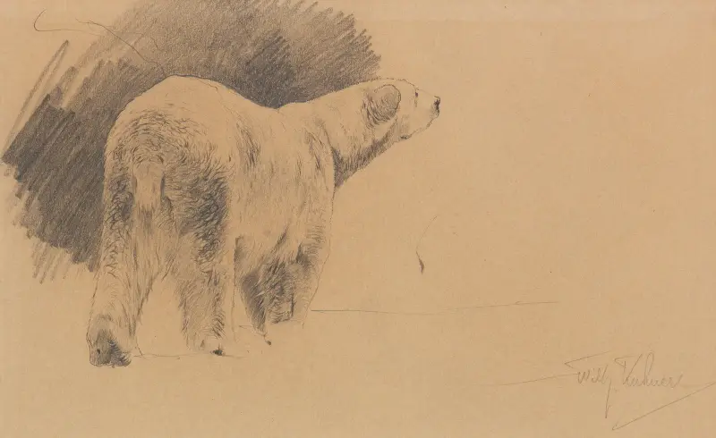 Stehender Eisbär von Wilhelm Kuhnert