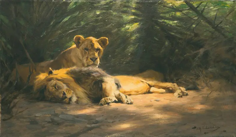Lejonkulan av Wilhelm Kuhnert